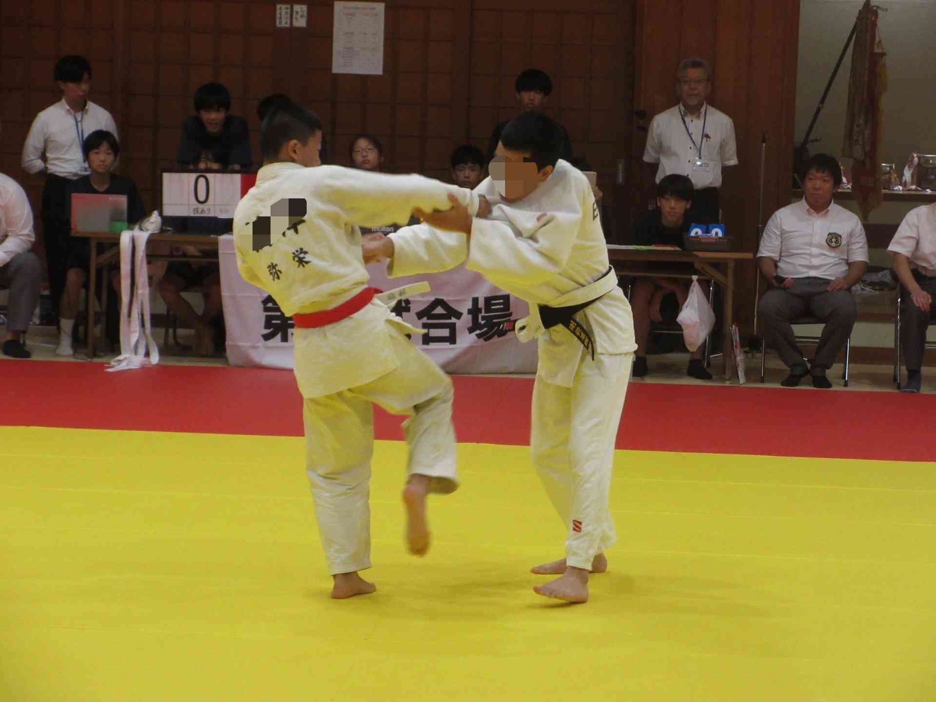 IMG_2395 (1)